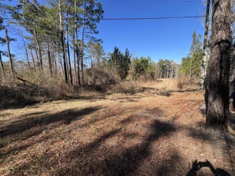 0 Mims Lane Georgetown SC 29440