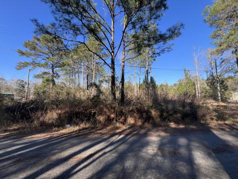 0 Mims Lane Georgetown SC 29440