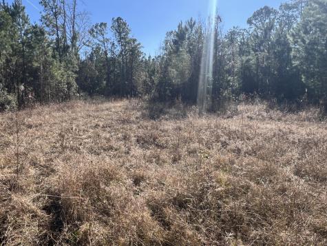 0 Mims Lane Georgetown SC 29440
