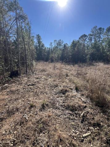 0 Mims Lane Georgetown SC 29440