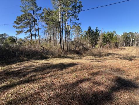 0 Mims Lane Georgetown SC 29440
