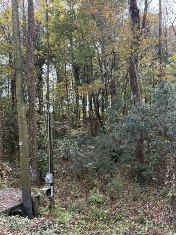 0 Yellow House Lot 2 Place Charleston SC 29492