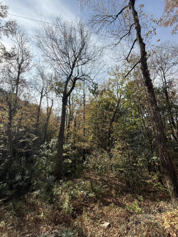 0 Yellow House Lot 2 Place Charleston SC 29492
