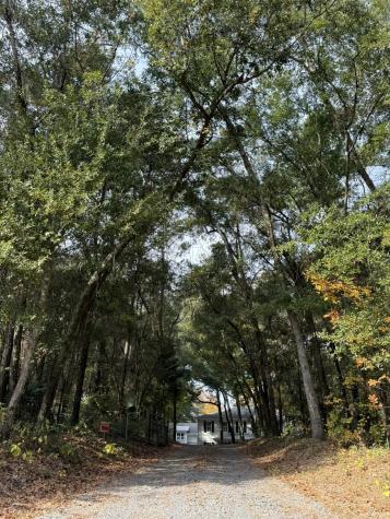 0 Yellow House Lot 2 Place Charleston SC 29492