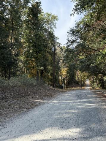 0 Yellow House Lot 2 Place Charleston SC 29492