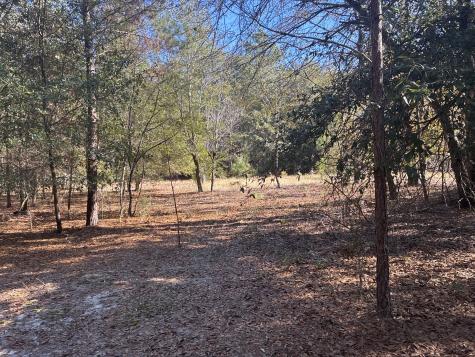 00 Tyler Road Orangeburg SC 29115