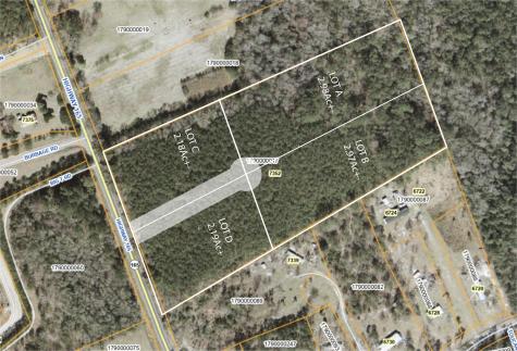 0-LOT D Highway 165 Ravenel SC 29470