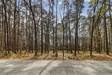 103 Caveson Drive Summerville SC 29483
