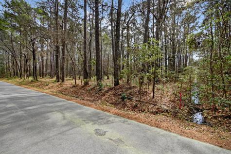 103 Caveson Drive Summerville SC 29483