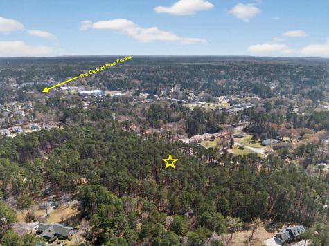 103 Caveson Drive Summerville SC 29483