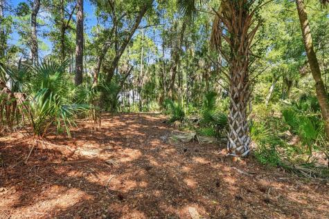 320 Moon Tide Lane Kiawah Island SC 29455