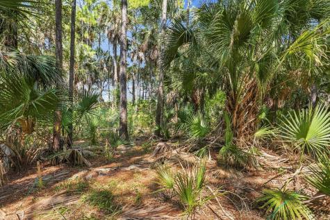 320 Moon Tide Lane Kiawah Island SC 29455