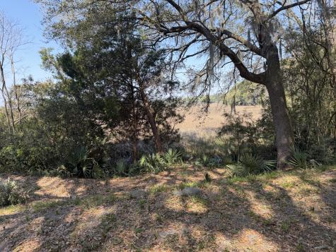3956 Bulow Plantation Road Johns Island SC 29455