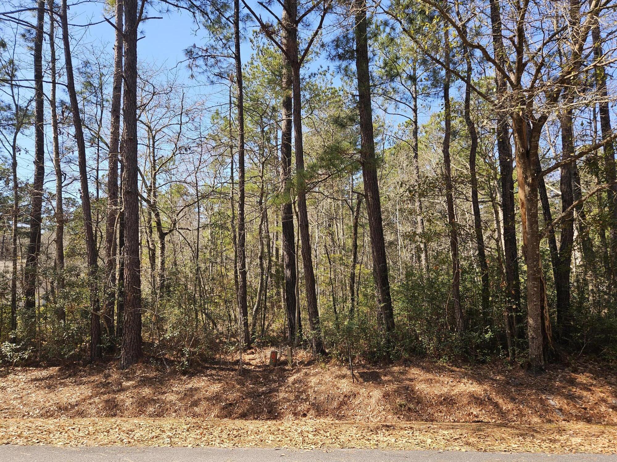 0 Brock Street Georgetown SC 29440