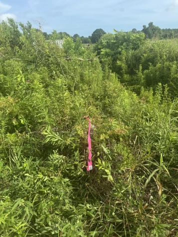 4798 Reggie Road Johns Island SC 29455