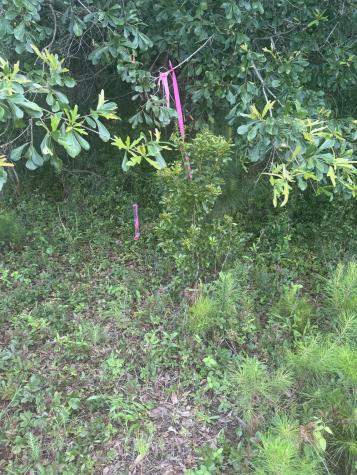 4798 Reggie Road Johns Island SC 29455