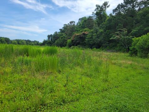 4798 Reggie Road Johns Island SC 29455
