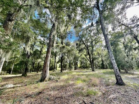 304 County Road S-22-853 Georgetown SC 29440