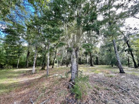 304 County Road S-22-853 Georgetown SC 29440
