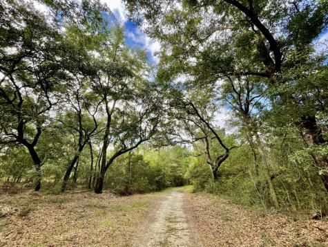 304 County Road S-22-853 Georgetown SC 29440