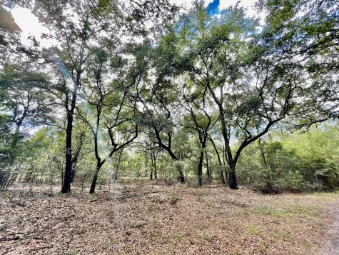 304 County Road S-22-853 Georgetown SC 29440