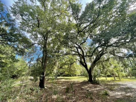 304 County Road S-22-853 Georgetown SC 29440