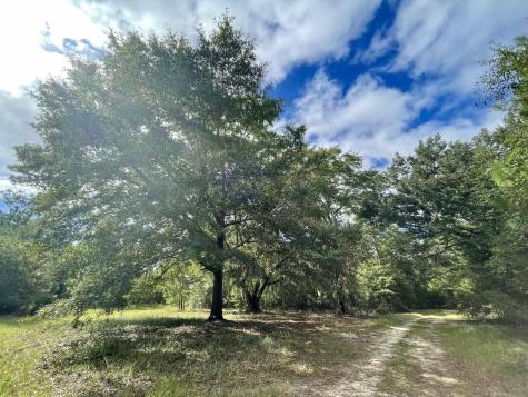 304 County Road S-22-853 Georgetown SC 29440
