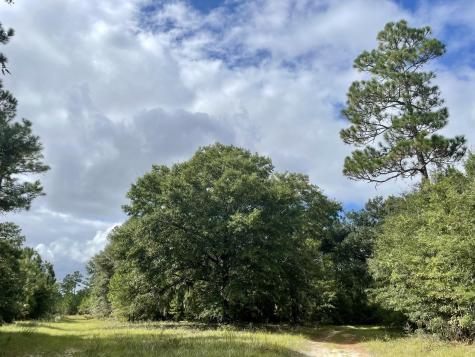 304 County Road S-22-853 Georgetown SC 29440