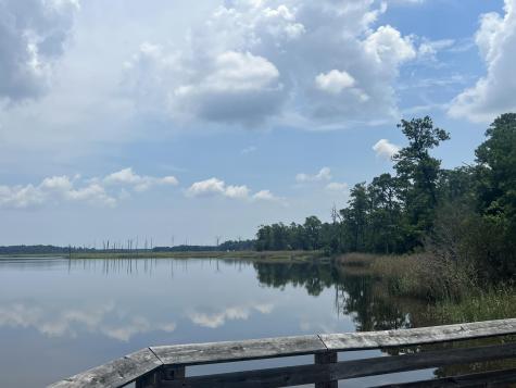 304 County Road S-22-853 Georgetown SC 29440