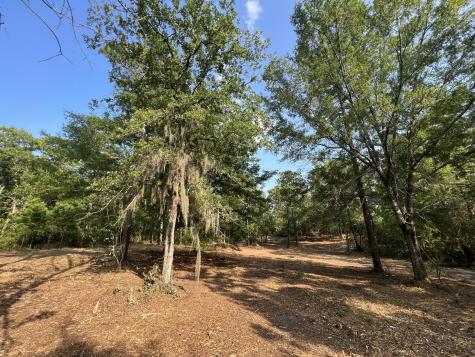304 County Road S-22-853 Georgetown SC 29440