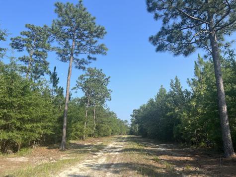 304 County Road S-22-853 Georgetown SC 29440