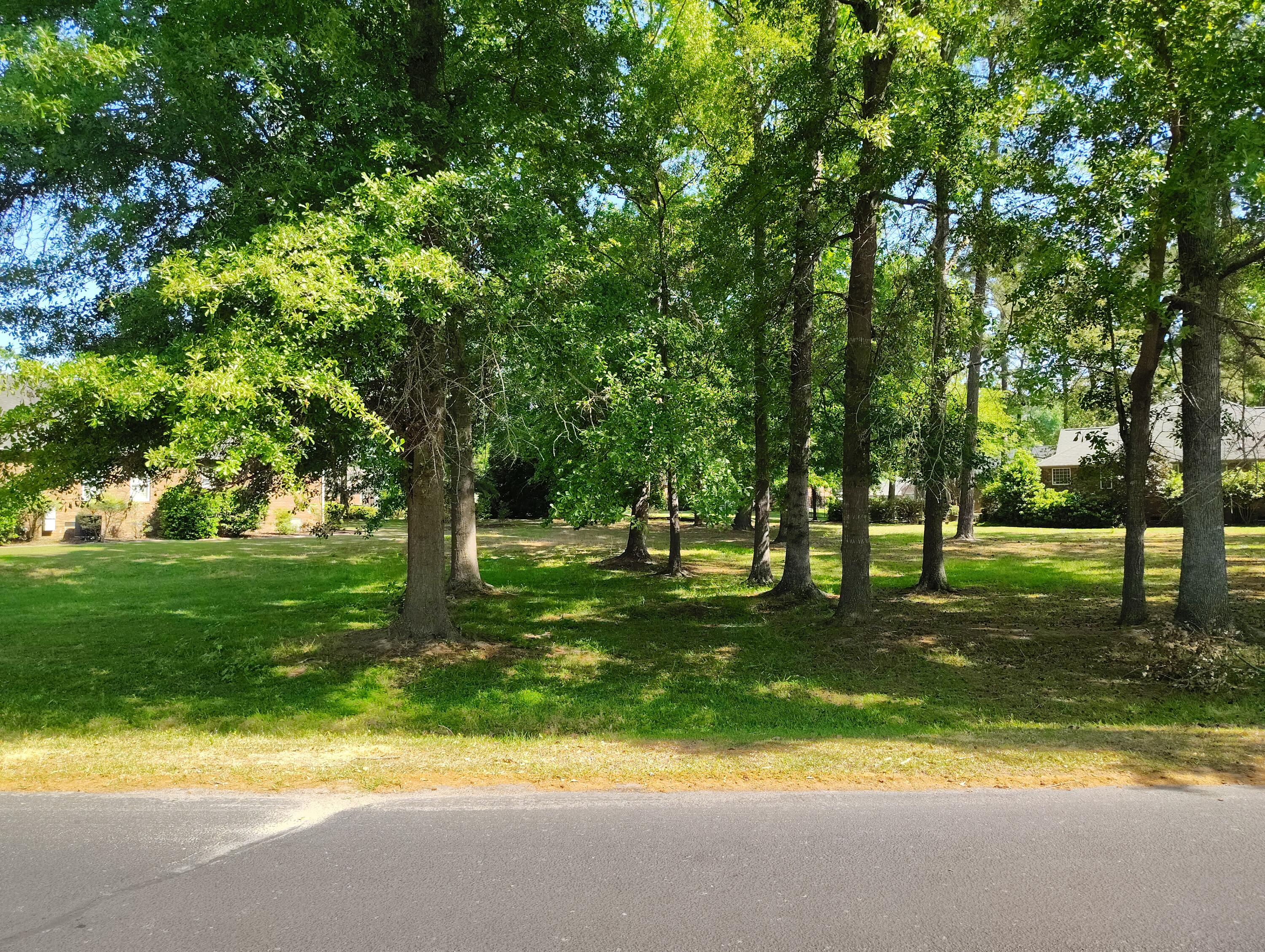 218 Ridge Lake Drive Manning SC 29102