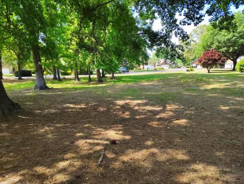 218 Ridge Lake Drive Manning SC 29102