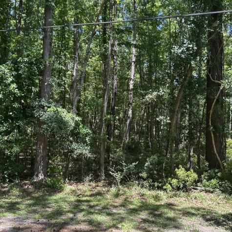 0 Pritchard Green Road Mount Pleasant SC 29429