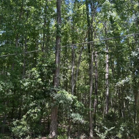 0 Pritchard Green Road Mount Pleasant SC 29429