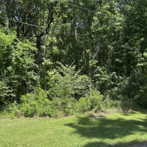 0 Pritchard Green Road Mount Pleasant SC 29429