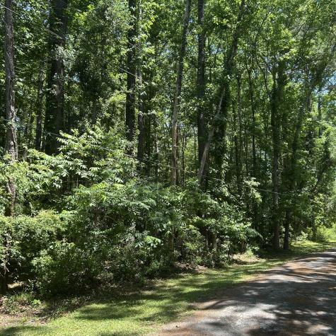 0 Pritchard Green Road Mount Pleasant SC 29429