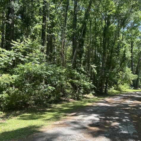 0 Pritchard Green Road Mount Pleasant SC 29429