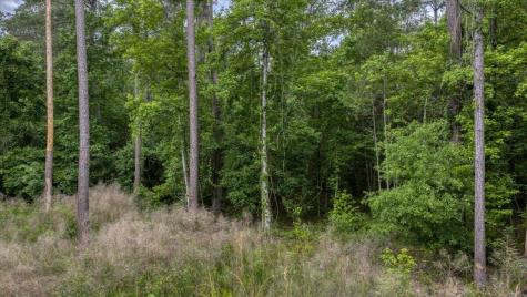 1205 Red Buckeye Court Moncks Corner SC 29461