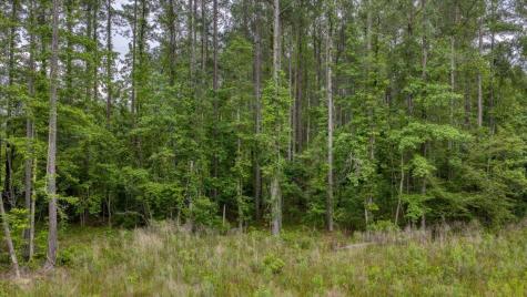 1205 Red Buckeye Court Moncks Corner SC 29461