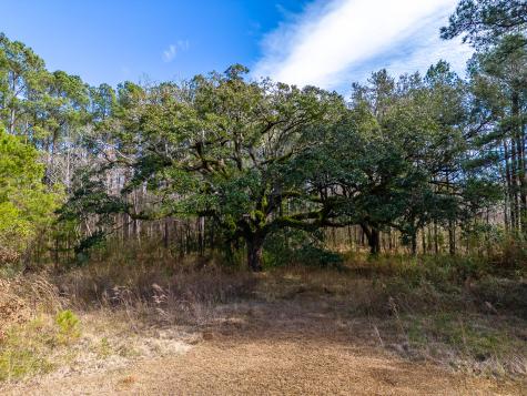 112 Wright Lane Goose Creek SC 29445