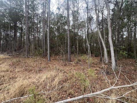 0 Hunters Ridge Lane North Charleston SC 29420