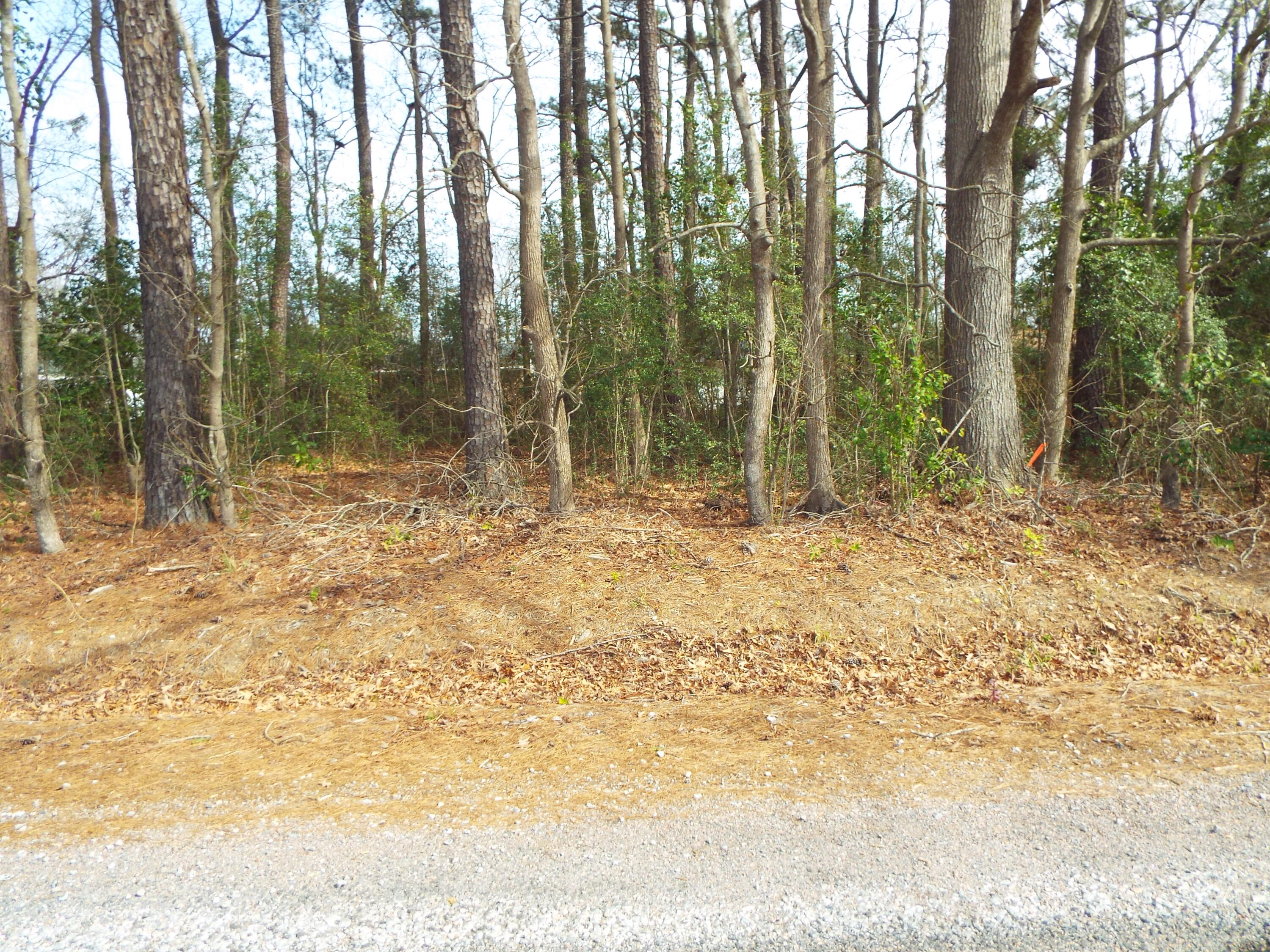 0 Dennis Drive Goose Creek SC 29445