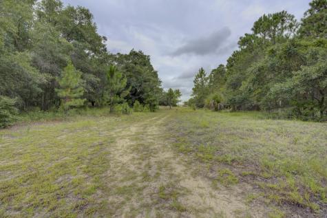 133 Dewees Inlet Drive Dewees Island SC 29451
