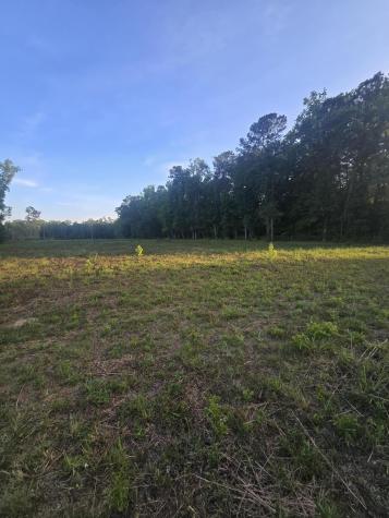 00 Central Avenue Summerville SC 29483