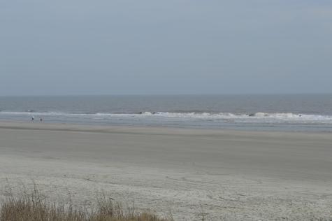916 E Ashley Avenue Folly Beach SC 29439