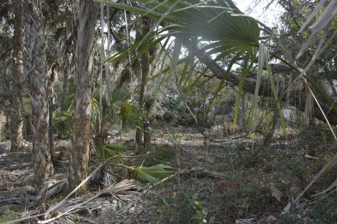 916 E Ashley Avenue Folly Beach SC 29439