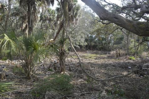 916 E Ashley Avenue Folly Beach SC 29439