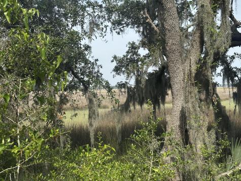 2342 Parsonage Road Charleston SC 29414