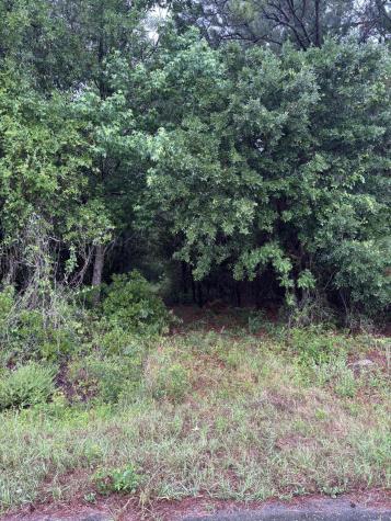 00 Murrell Block Drive Pineville SC 29468